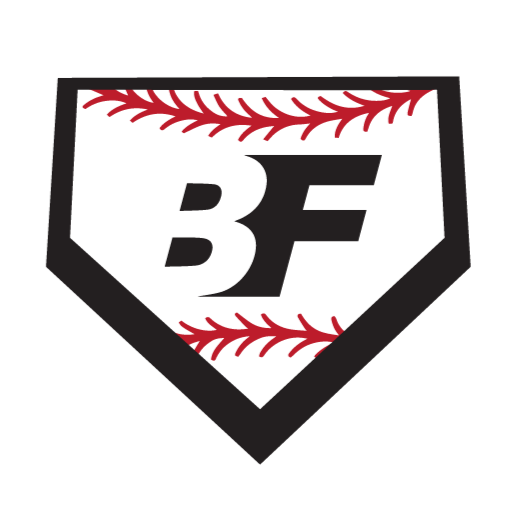 Big Fly Sports